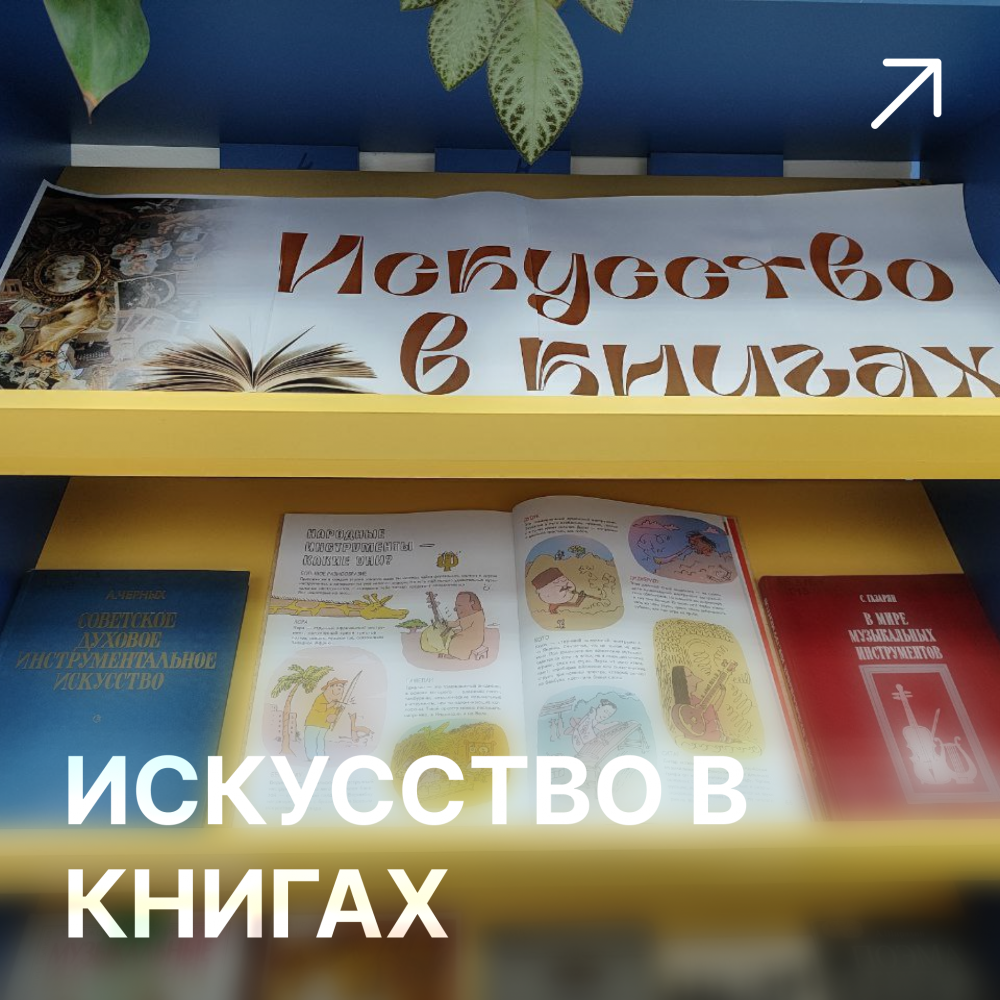 В мире права 