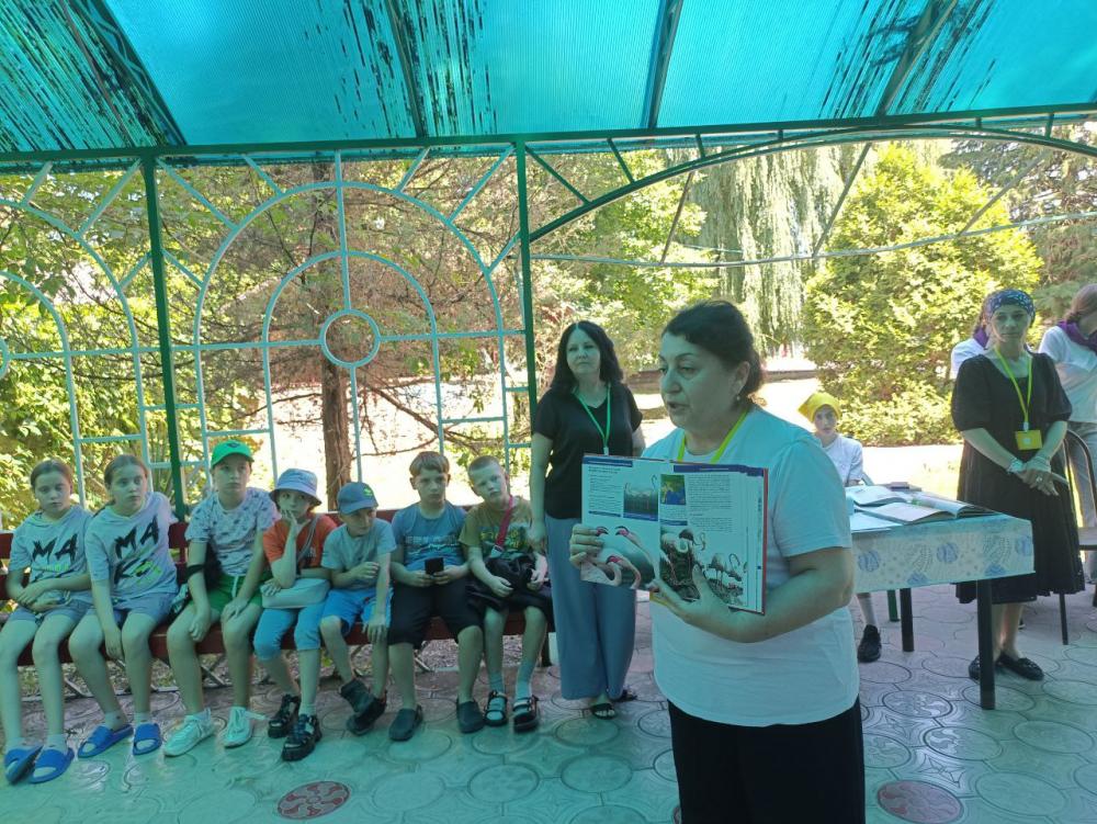 День Эколога
День Эколога