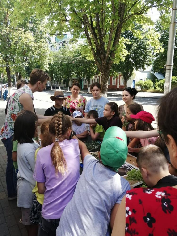 Цветы и их история
