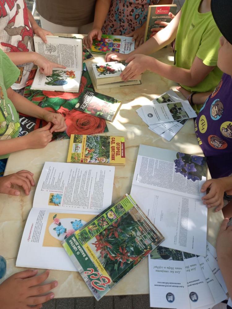 Цветы и их история
