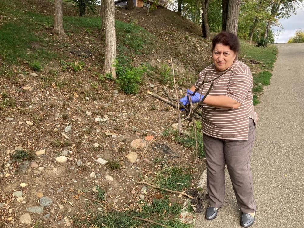 Зеленая Россия
