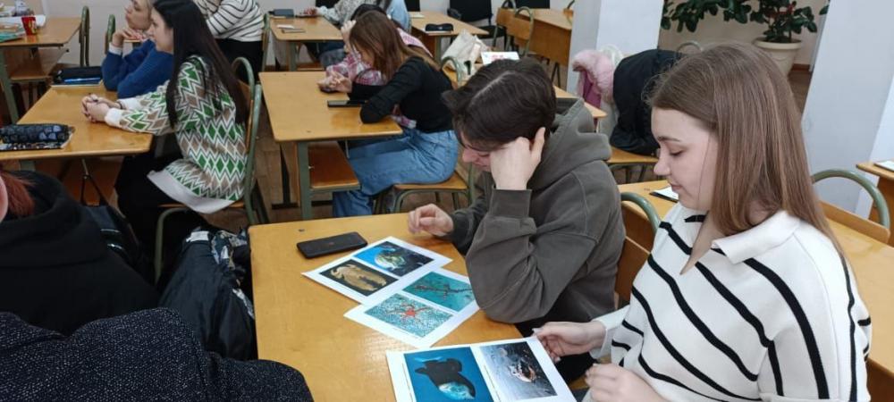 День защиты морских млекопетающих
