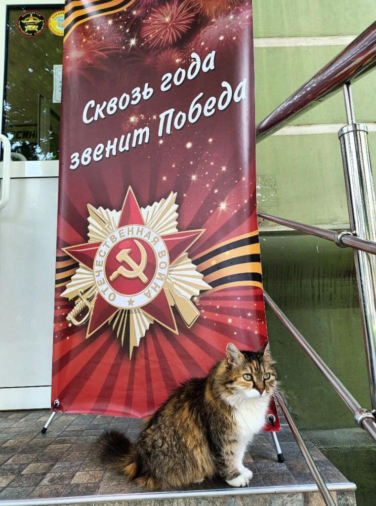 Поздравление с праздником Победы
