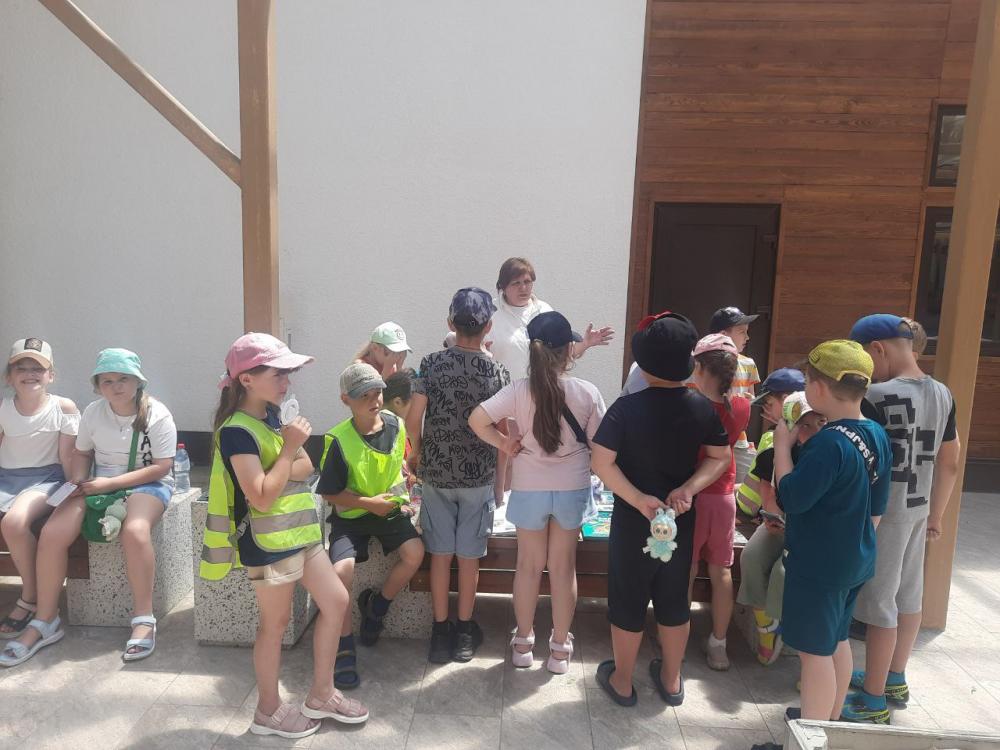 Путешествие морской ракушки
