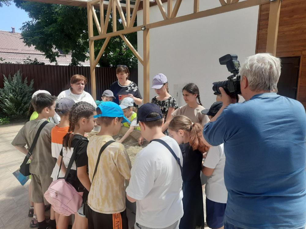 Путешествие морской ракушки
