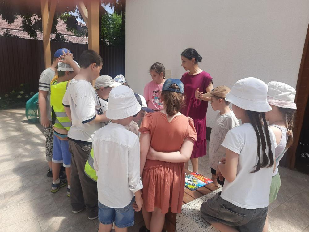 Путешествие морской ракушки
