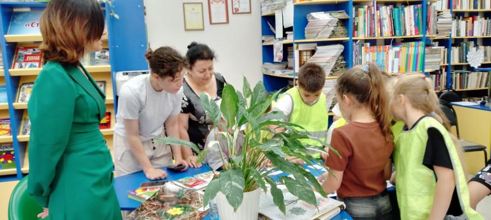 В мире цветов
