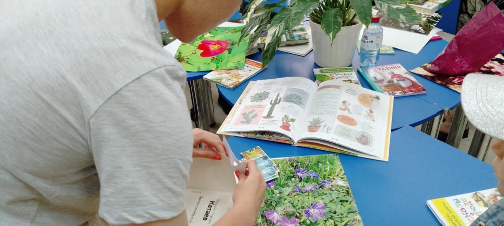 Собери цветок
