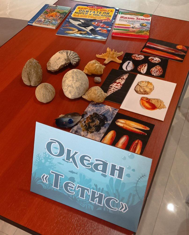 История морей и океанов
