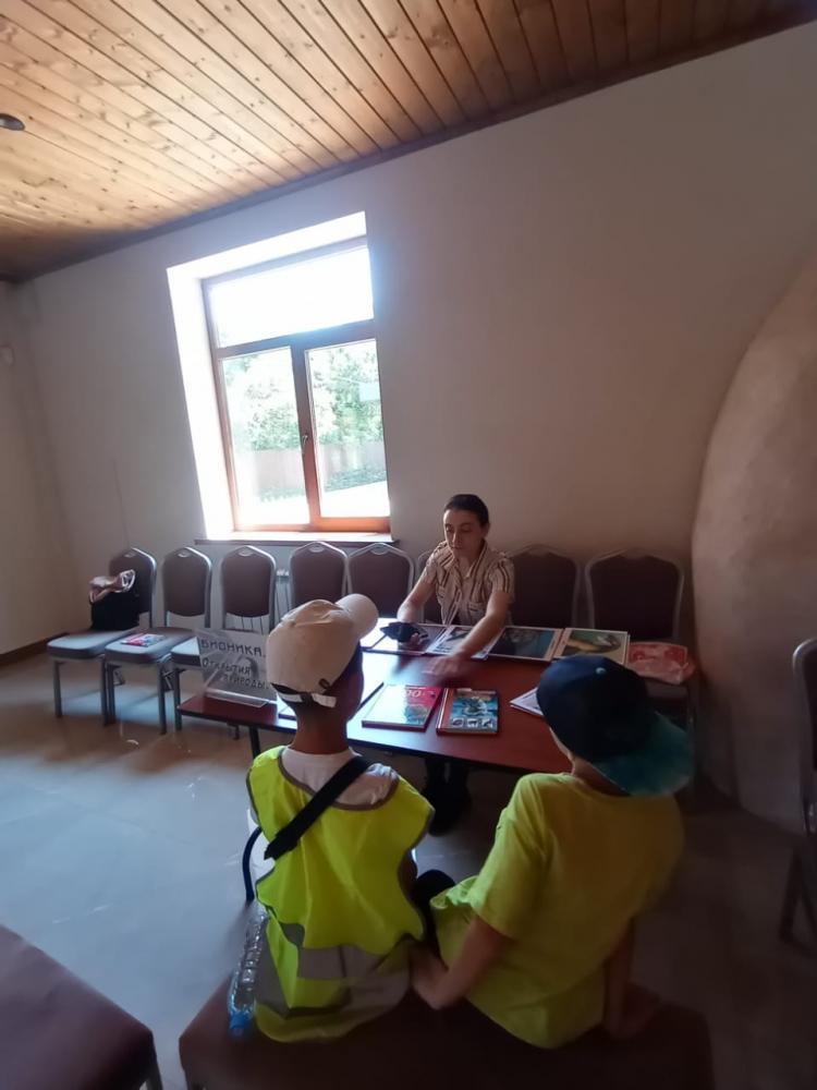 Удивительный мир природы
