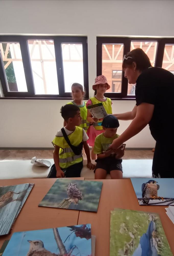 Удивительный мир природы
