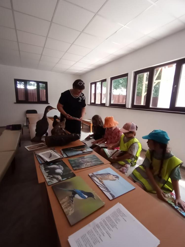 Удивительный мир природы
