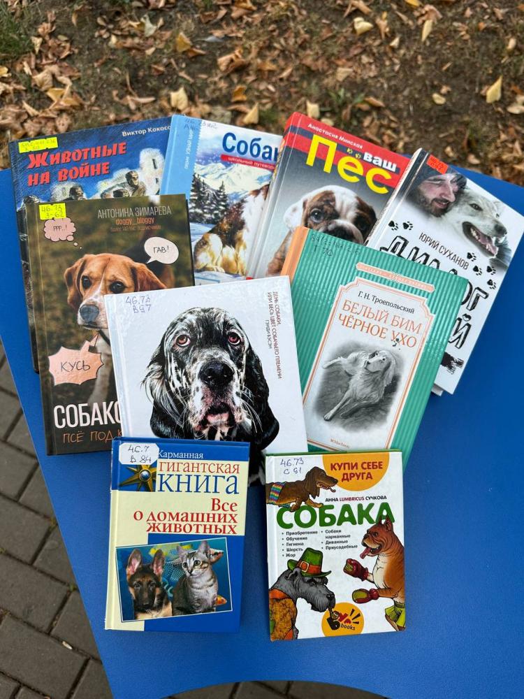 Истории и иллюстрации о лучших друзьях
