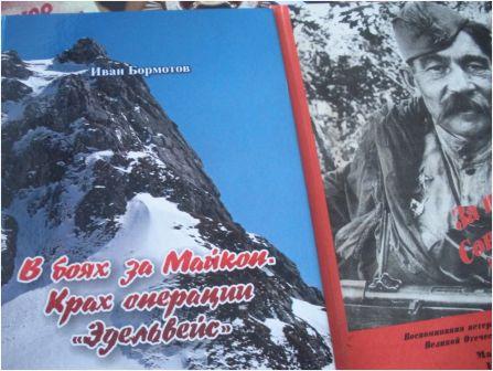 Иван Бормотов: обзор книги 