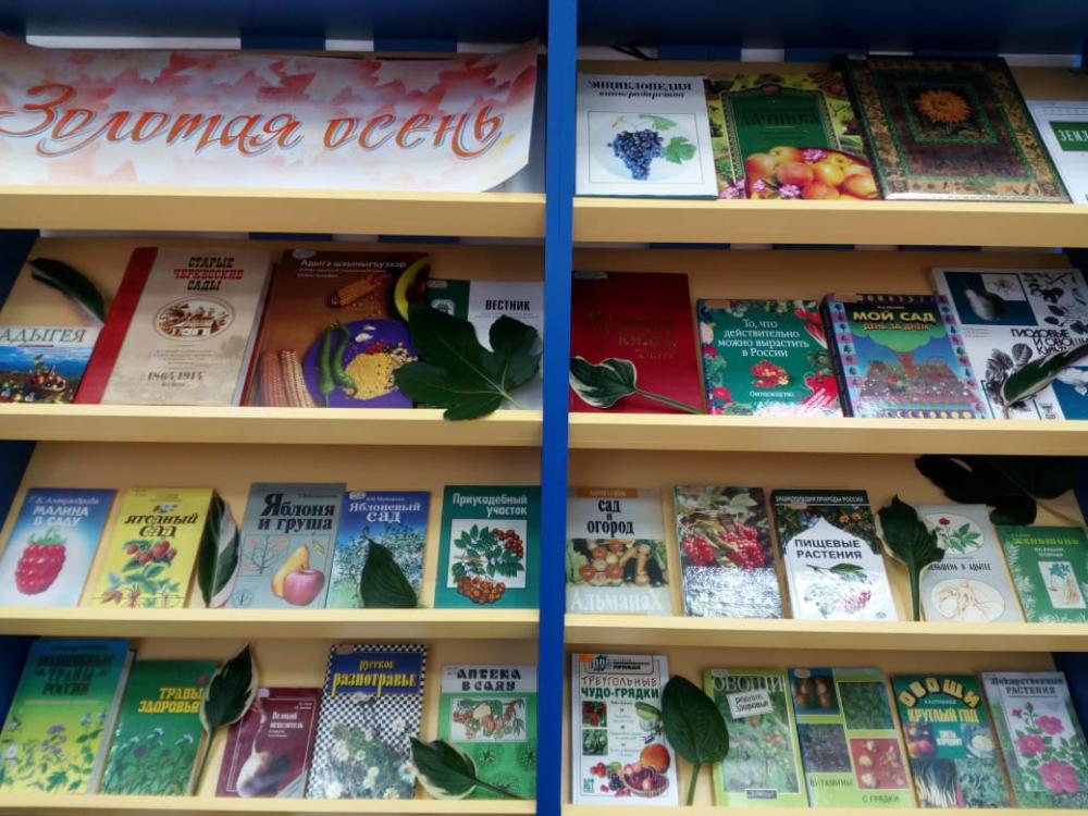 В зале интеллектуального развития и досуга организовали выставку-инсталляцию - "Золотая осень!"