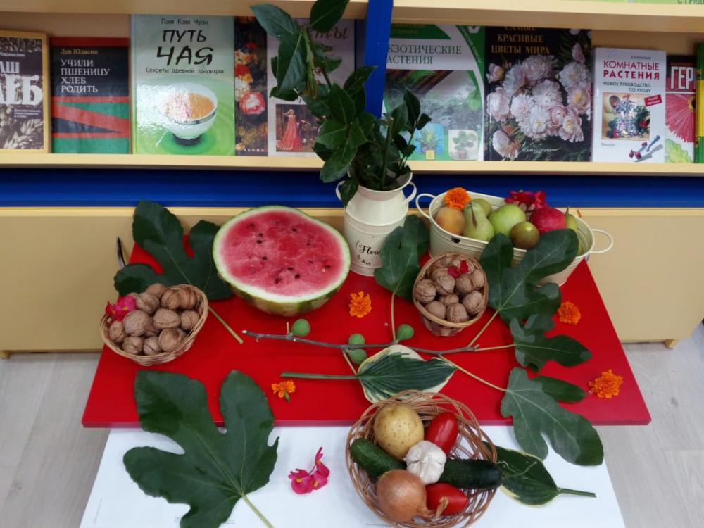 В зале интеллектуального развития и досуга организовали выставку-инсталляцию - "Золотая осень!"