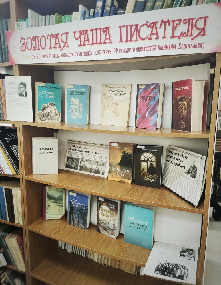 Книжные выставки в феврале 2021 года 