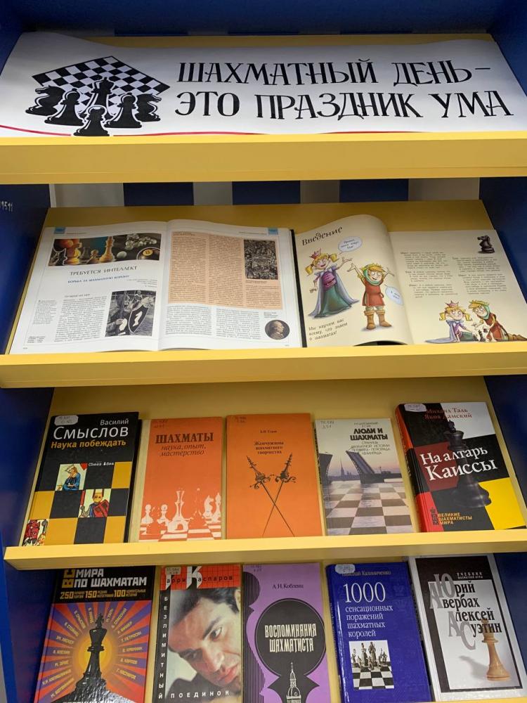 Шахматный день
