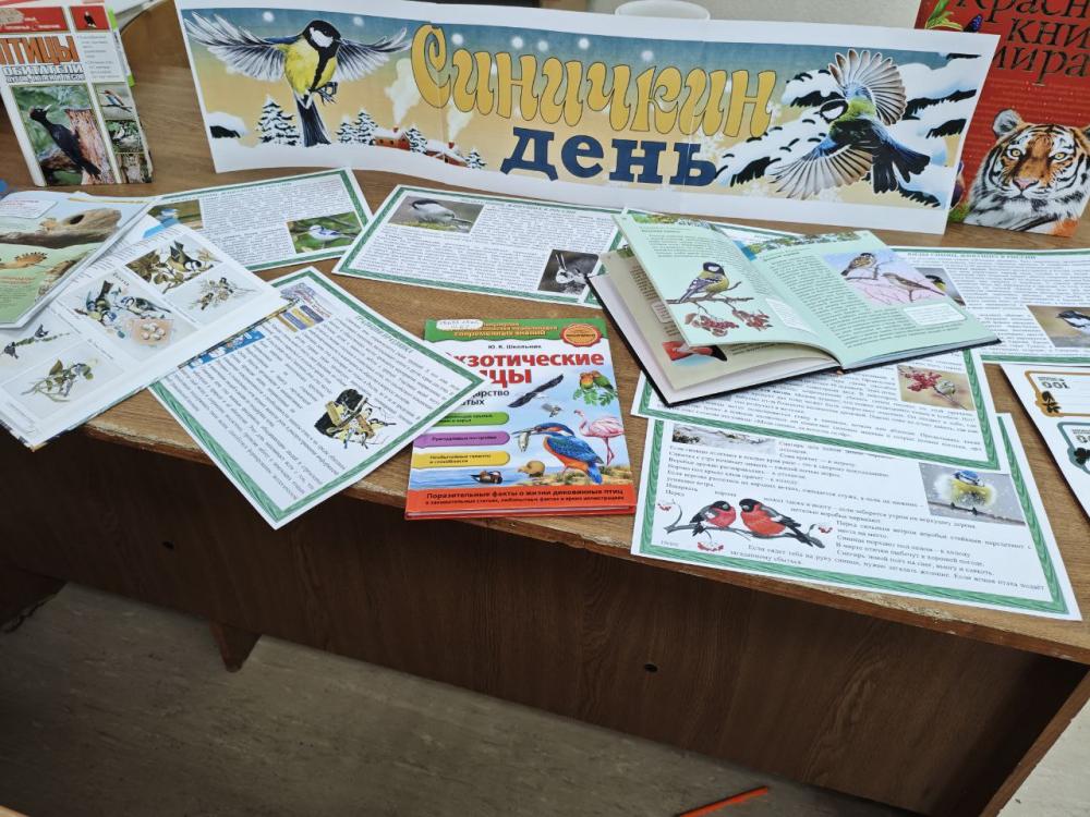 Синичкин день
