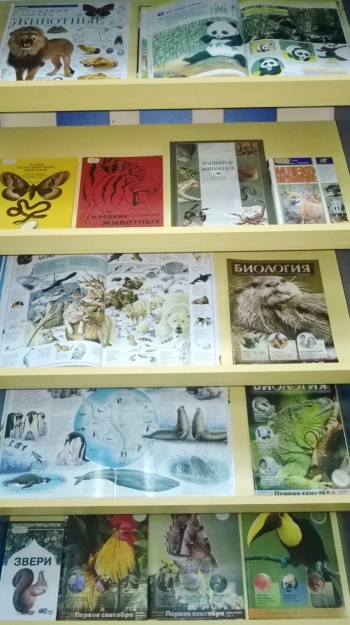 Книжные выставки АРЮБ в октябре 2017 года